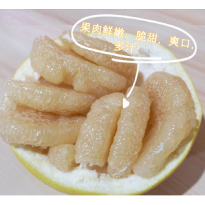 正宗玉环文旦柚子 新鲜水果 浙江台州楚门特产蜜柚农家 精品20斤